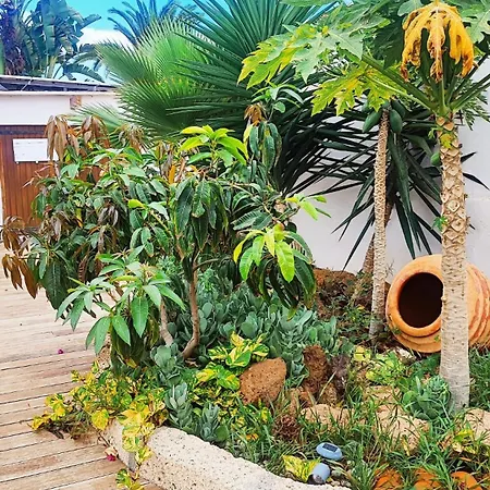 Holiday home Beautiful With Wifi And Free Parking Arona (Tenerife)