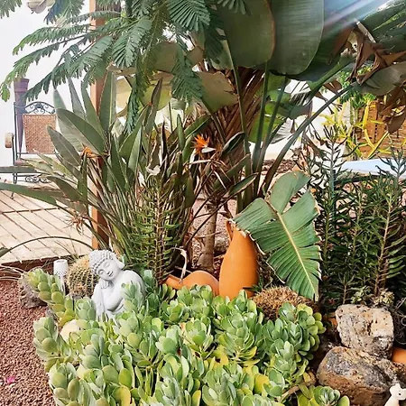 Beautiful With Wifi And Free Parking Holiday home Arona (Tenerife)