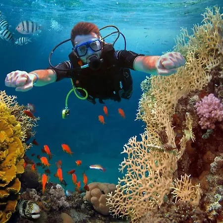 בית נופש Beautiful With Wifi And Free Parking ארונה