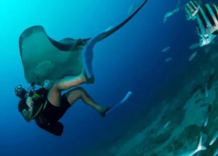 Beautiful With Wifi And Free Parking * ארונה