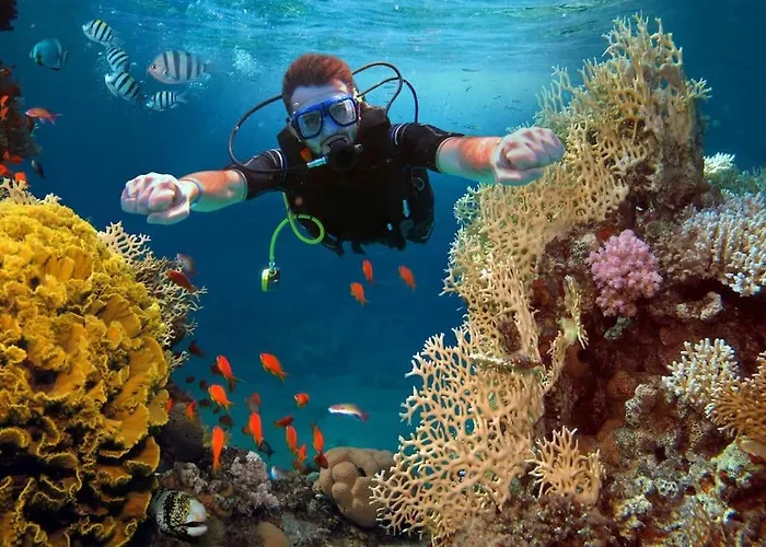 בית נופש Beautiful With Wifi And Free Parking ארונה